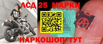 spice Заволжье