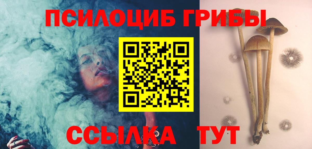 Егорьевск  Псилоцибиновые грибы Cubensis  Галлюциногенные грибы Cubensis  Вход с VPN 